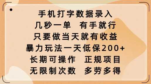 手机打字数据录入，几秒一单，有手就行，只要做当天就有收益，暴力玩法一天低保2张-占领资源网