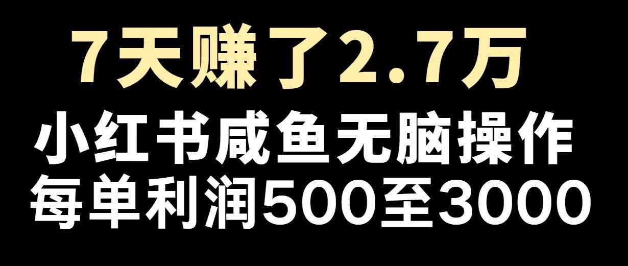 （14183期）最赚钱项目之一，2025爆火，逆风翻盘！-占领资源网