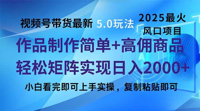 （14191期）视频号带货最新5.0玩法，作品制作简单，当天起号，复制粘贴，轻松矩阵…-占领资源网