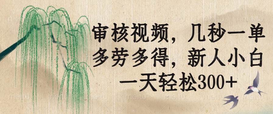 （14202期）审核视频，几秒一单，多劳多得，新人小白一天轻松300+-占领资源网