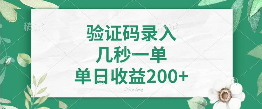 （14221期）验证码录入，几秒一单，单日收益200+-占领资源网