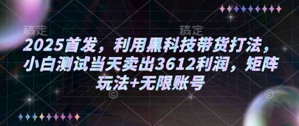 2025首发，利用黑科技带货打法，小白测试当天卖出3612利润，矩阵玩法+无限账号【揭秘】-占领资源网