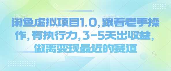 闲鱼虚拟项目1.0，跟着老手操作，有执行力，3-5天出收益，做离变现最近的赛道-占领资源网