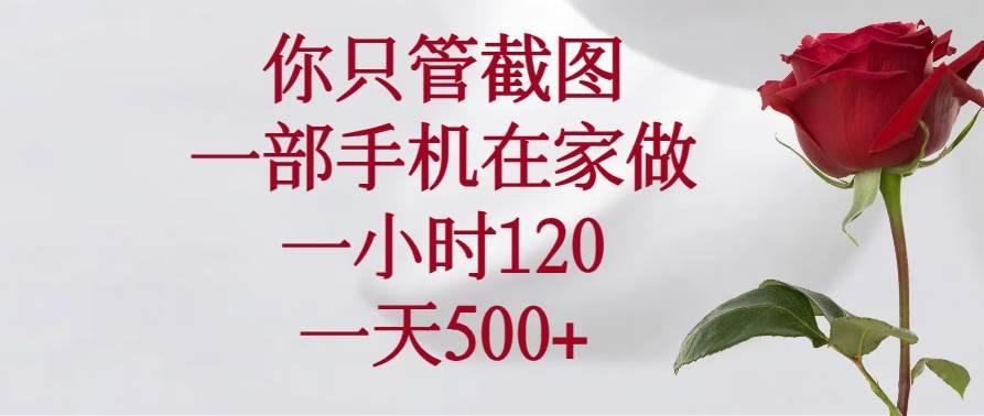 （14248期）你只管截图，一部手机在家做，一小时120，一天500+-占领资源网