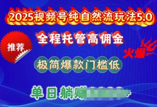 2025视频号纯自然流玩法5.0，全程托管高佣金，极简爆款门槛低，单日收益多张【揭秘】-占领资源网