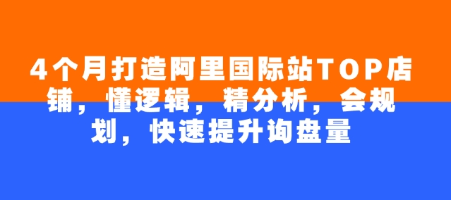 4个月打造阿里国际站TOP店铺，懂逻辑，精分析，会规划，快速提升询盘量-占领资源网