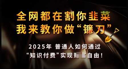 知识付费如何做到月入过W+，2025我来教你做“镰刀”【揭秘】-占领资源网