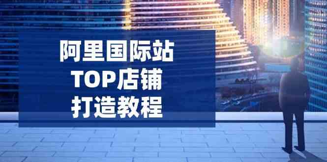阿里国际站TOP店铺打造教程：涵盖平台到高阶，解决运营难题，提升询盘-占领资源网