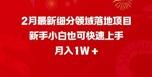 2月最新细分领域落地项目，新手小白也可快速上手，月入1W-占领资源网