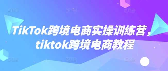 TikTok跨境电商实操训练营，tiktok跨境电商教程-占领资源网