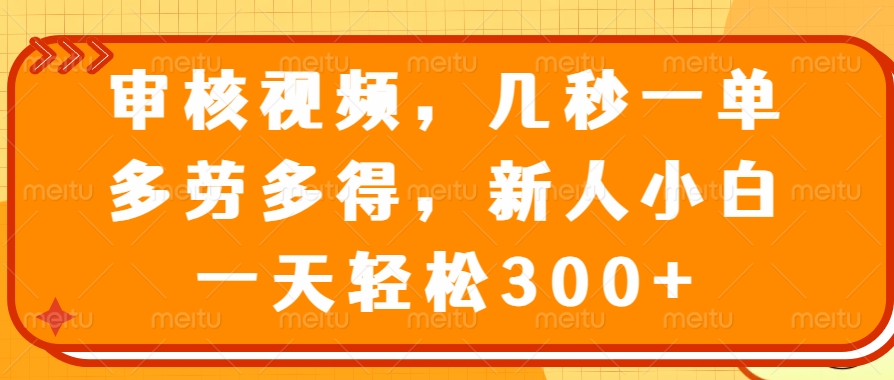 （14294期）审核视频，几秒一单，多劳多得，新人小白一天轻松300+-占领资源网