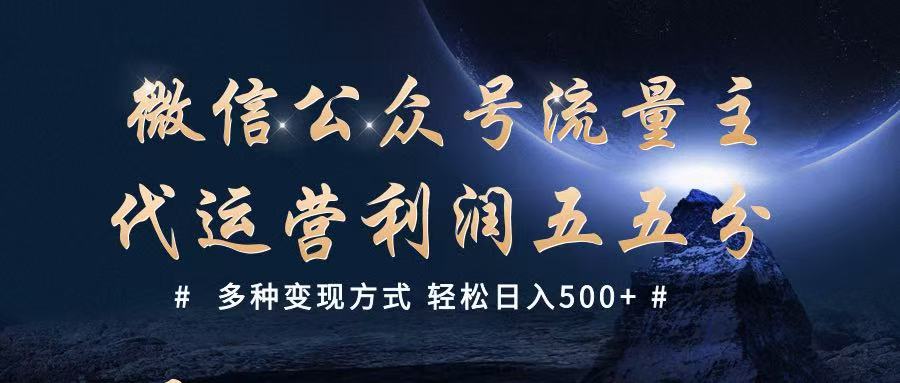 公众号流量主代运营  多种变现方式 轻松日入500+-占领资源网
