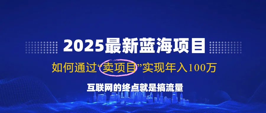 （14305期）2025最新蓝海项目，零门槛轻松复制，月入10万+，新手也能操作！-占领资源网