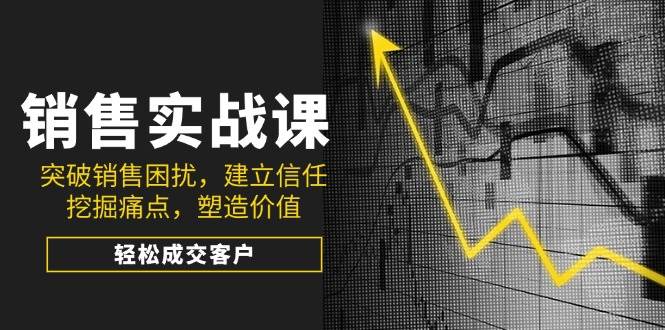 销售实战课，突破销售困扰，建立信任，挖掘痛点，塑造价值，轻松成交客户-占领资源网