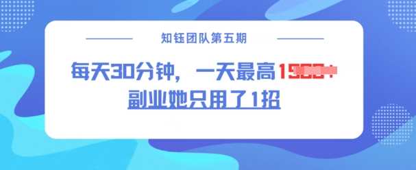 副业她只用了1招，每天30分钟，无脑二创，一天最高1.5k-占领资源网