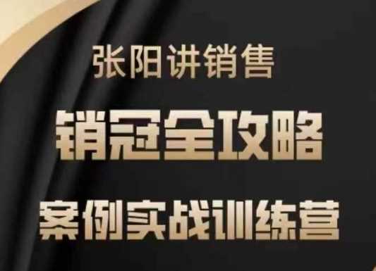 张阳讲销售实战训练营，​案例实战训练，销冠全攻略-占领资源网