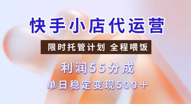 快手小店代运营3.0，模式新升级，收益55分，稳定单日5张【揭秘】-占领资源网