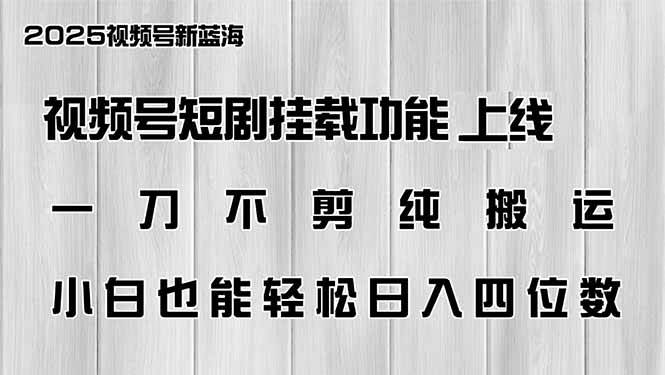 （14310期）视频号短剧挂载功能上线，一刀不剪纯搬运，小白也能轻松日入四位数-占领资源网