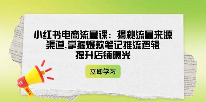小红书电商流量课：揭秘流量来源渠道,掌握爆款笔记推流逻辑,提升店铺曝光-占领资源网