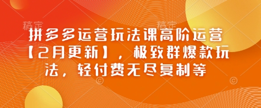 拼多多运营玩法课高阶运营【2月更新】，极致群爆款玩法，轻付费无尽复制等-占领资源网