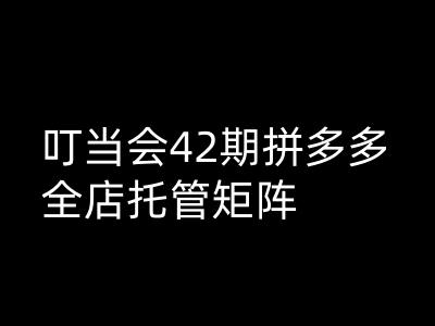 叮当会拼多多打爆班原创高阶技术第42期，拼多多全店托管矩阵-占领资源网