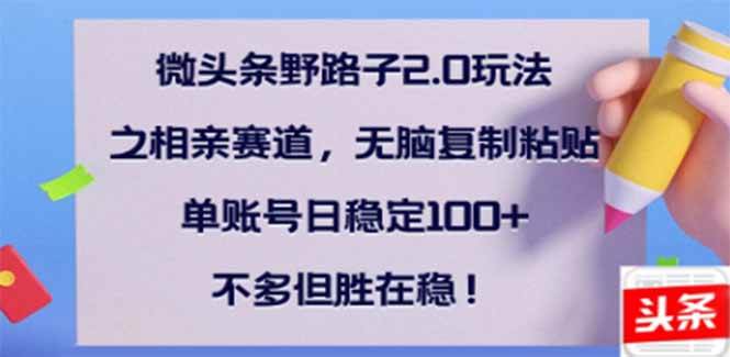 （14334期）微头条野路子2.0玩法之相亲赛道，无脑搬砖复制粘贴，单账号日稳定300+…-占领资源网