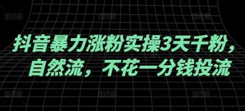 抖音暴力涨粉实操3天千粉，自然流，不花一分钱投流，实操经验分享-占领资源网
