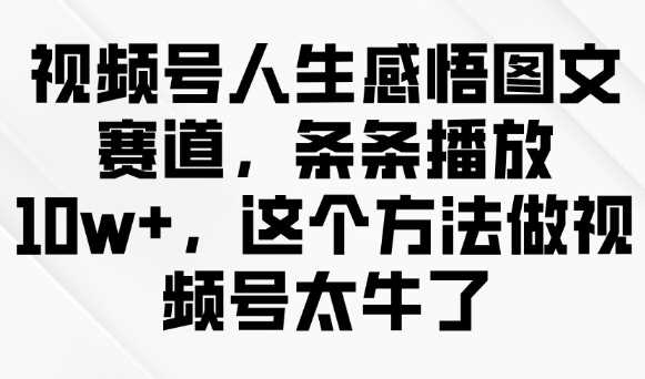 视频号人生感悟图文赛道，条条播放10w+，这个方法做视频号太牛了-占领资源网
