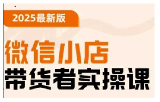 2025最新版微信小店带货者实操课，基础操作到高级运营技巧，快速上手-占领资源网