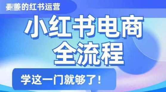 小红书电商全流程，精简易懂，从入门到精通，学这一门就够了-占领资源网