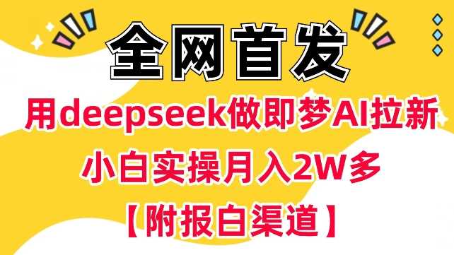 用deepseek做即梦Ai拉新 小白实操月入过W+【附报白渠道】-占领资源网