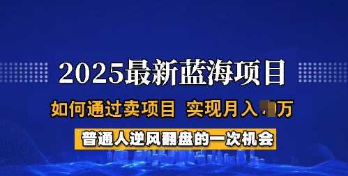 2025蓝海项目，普通人如何通过卖项目，实现月入过W，全过程【揭秘】-占领资源网