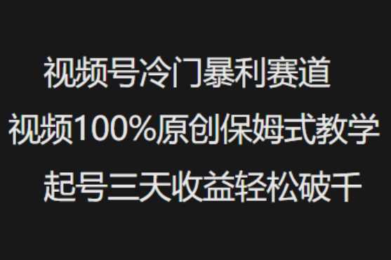 视频号冷门暴利赛道视频100%原创保姆式教学起号三天收益轻松破千-占领资源网
