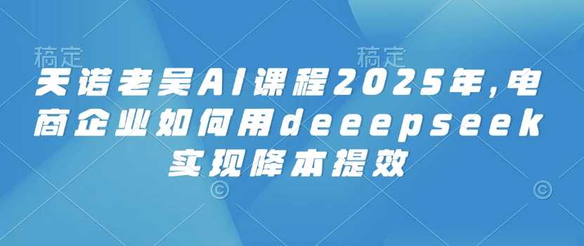 天诺老吴AI课程2025年，电商企业如何用deeepseek实现降本提效-占领资源网