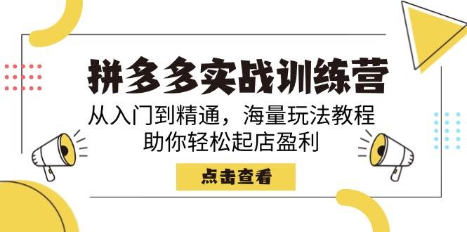 （14392期）拼多多实战训练营，从入门到精通，海量玩法教程，助你轻松起店盈利-占领资源网