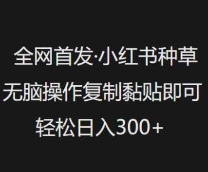 全网首发，小红书种草无脑操作，复制黏贴即可，轻松日入3张-占领资源网