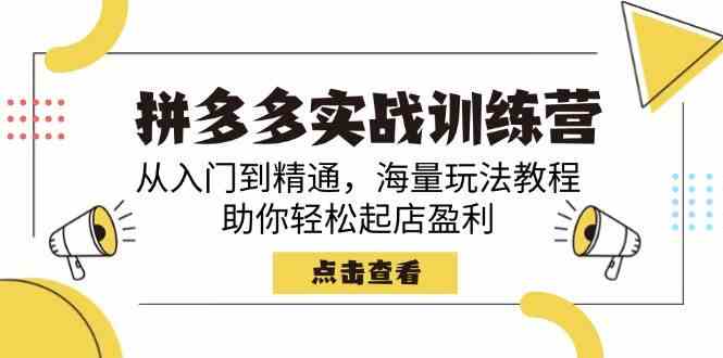 拼多多实战训练营，从入门到精通，海量玩法教程，助你轻松起店盈利-占领资源网