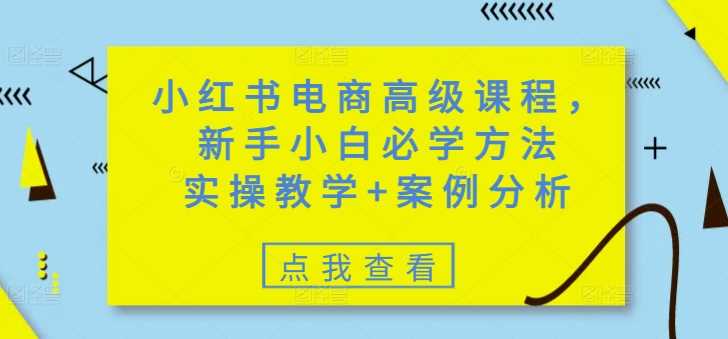 小红书电商高级课程，新手小白必学方法，实操教学+案例分析-占领资源网