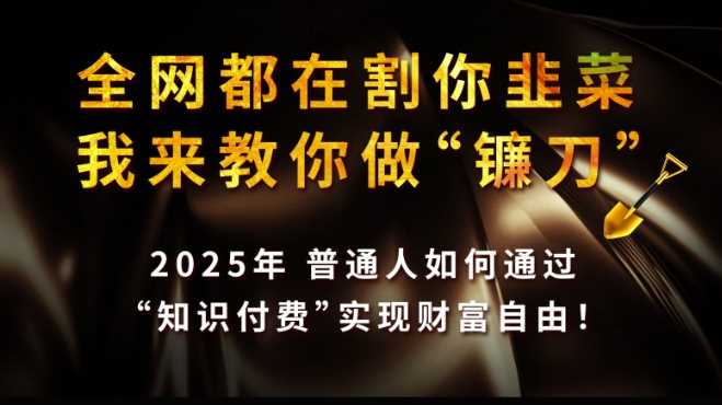 全网都在割你韭菜，我来教你做镰刀,2025普通人如何通过知识付费，实现财F自由【揭秘】-占领资源网