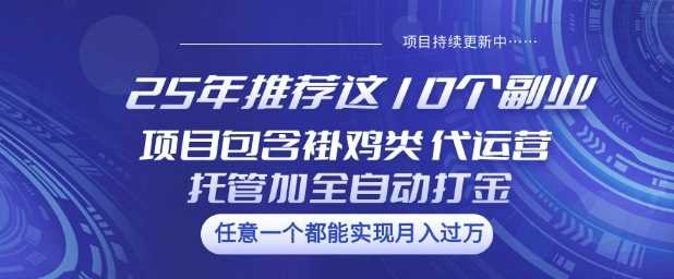 25年推荐这10个副业项目包含褂鸡类、代运营托管类、全自动打金类【揭秘】-占领资源网