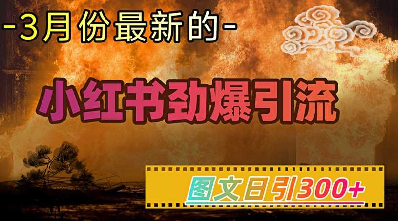 小红书超劲爆引流手段，图文日引300+轻松变现1W-占领资源网