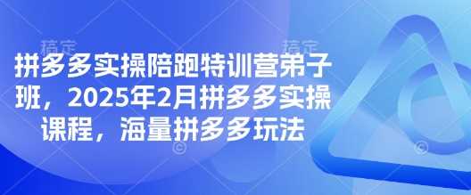 拼多多实操陪跑特训营弟子班，2025年2月拼多多实操课程，海量拼多多玩法-占领资源网