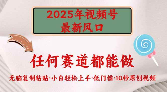 （14453期）2025年视频号新风口，低门槛只需要无脑执行-占领资源网