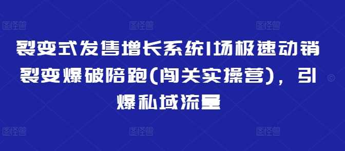 裂变式发售增长系统1场极速动销裂变爆破陪跑(闯关实操营)，引爆私域流量-占领资源网
