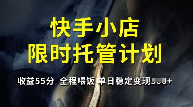 快手小店限时托管计划，收益55分，全程喂饭，单日稳定变现5张【揭秘】-占领资源网