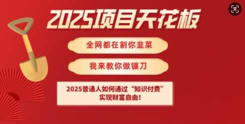 2025项目天花板普通人如何通过知识付费，实现财F自由【揭秘】-占领资源网