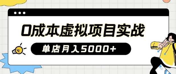 0成本虚拟项目实战手把手教你落地，单店月入5k-占领资源网