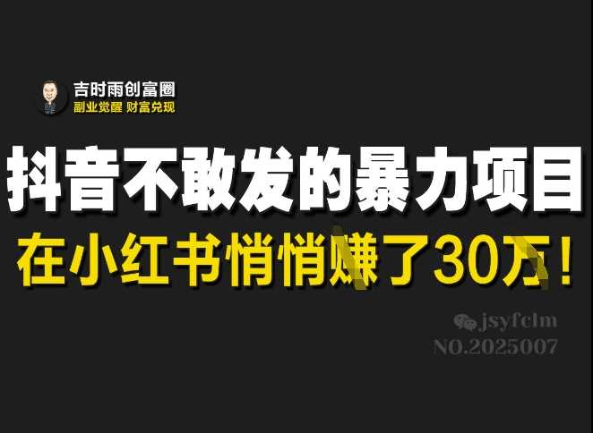 抖音不敢发的暴利项目，在小红书悄悄挣了30W-占领资源网