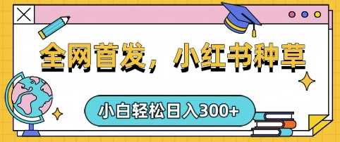 小红书种草，手机项目，日入3张，复制黏贴即可，可矩阵操作，动手不动脑【揭秘】-占领资源网