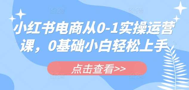小红书电商从0-1实操运营课，0基础小白轻松上手-占领资源网